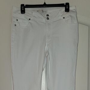 Cato White Boot Cut Pants